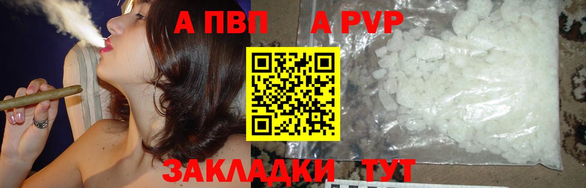 A PVP СК КРИС Новоалтайск